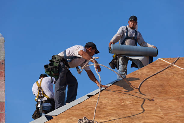 Best Metal Roofing Contractor  in Rosepine, LA